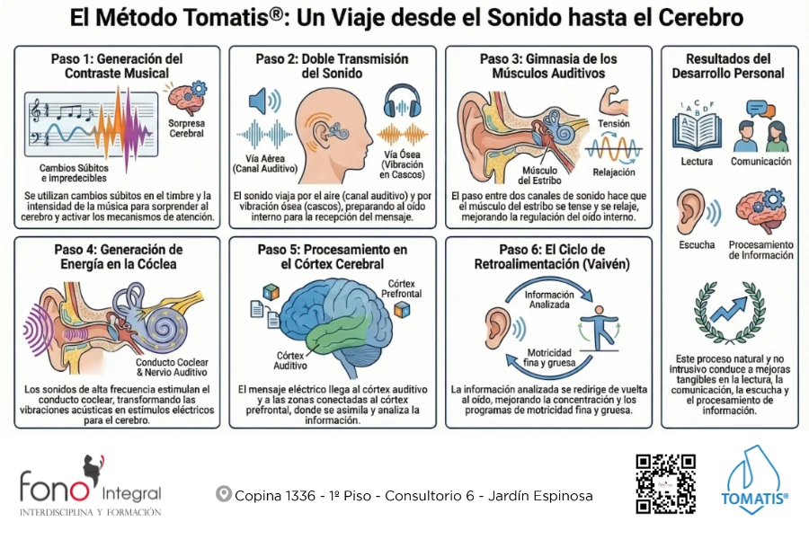 Infografía del Método Tomatis: viaje desde el sonido hasta el cerebro